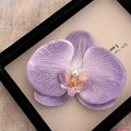 Détail d'une pince à cheveux orchidée violette avec texture textile et perle décorative - Mauve Clair