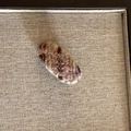 Dettaglio del fermaglio ovale intrecciato a mano con filato rosa, marrone e filo d'oro - 5# Rosa Lana Ovale