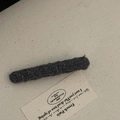 Primer plano de la textura de la pinza de pelo de felpa gris sobre fondo de lona beige - Gris