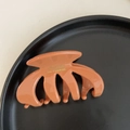Detailed side view of matte brick red resin hair claw clip with gold script lettering - Orange Style (2#)