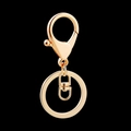 Goldener Legierungs-Schlüsselanhänger mit Karabiner und Ring auf schwarzem Hintergrund - Schlüsselanhänger Set (Gold) / Gold