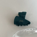 Detail view of dark green acetate hair claw clip with golden Barrette la France text - Blue(5#)