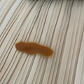 Detailed macro view of the caramel acetate hair clip with Barrette La France engraving - Ginger Yellow Wave Style (6#)