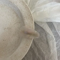 French minimalist cream beige acetate mini hair clip on a decorative ceramic dish - Silver White Textured Triangle