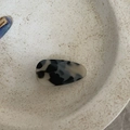 Close-up of tortoise shell acetate hair clip in cream and black on ceramic plate - Light Leopard Triangle