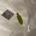 Fermaglio per capelli ondulato verde erba Morandi con finitura opaca su seta - Clip a Becco d'Anatra a Onda / Verde Erba