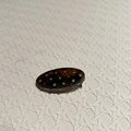 Dettaglio del fermaglio per capelli tartarugato con strass colorati su fondo bianco - Marrone