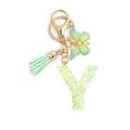 Letter Y resin keychain with mint green butterfly pendant and gold keyring loop - 8-Loop Clasp + Butterfly / Letter Y