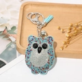 Colorful rhinestone owl keychain with light blue tassel and silver metal clip - Mixed Lake Blue