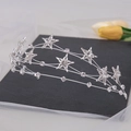 Detailansicht eines silbernen Stern-Braut-Haarreifs mit funkelnden Kristallen für Hochzeiten - Silber