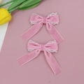 Detalle de pinzas de pelo en terciopelo rosa con encaje blanco y fondo de tulipán - Rosa