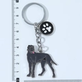 Schwarzer Dogge Metall Schlüsselanhänger mit Pfoten-Charm, 9,5cm Länge, Haustier Zubehör - Deutsche Dogge Mit Pfote