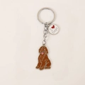 Zinklegering huisdier sleutelhanger met bruine poedel en I Love Dogs hanger sieraad - Zittende Bruine Teddy met I Love Dogs Label