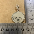 Detailed macro view of laser-engraved stainless steel round dog tag with lobster clasp - Bichon Frise Style
