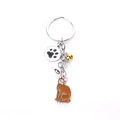 Portachiavi gatto con ciondolo Abissino, campanello dorato e pendente con zampa - Gatto Bobtail Marrone