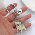 Porte-clés carlin mignon avec pendentif patte de cœur et finition émail beige - Style Carlin (Carlin & Patte)