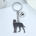 Great Dane metal keychain with black enamel dog pendant and paw print charm on silver ring - Great Dane with Paw