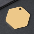Gepolijste gouden roestvrijstalen zeshoekige hanger met spiegelafwerking en ophangoogje - Zeshoek Goud / 33.7mm*30mm