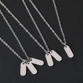 Macro detail of stainless steel oval military tags and fine link chain in silver finish - Pendant Necklace / Silver