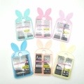 Colorful rabbit-ear cases with 20 black hair pins in mint, pink, purple and yellow colors - Rabbit Ear Style Big Box
