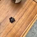Detailed view of a small black mini hair claw clip placed on a rustic wooden tray - Black