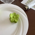 Gros plan d'une pince à cheveux fleur vert melon mat sur une assiette blanche - Vert Avocat
