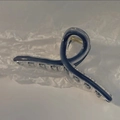 Dettaglio della molletta per capelli in resina blu scuro con molla dorata su carta - Blu Marino