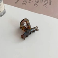 Macro detail of tortoiseshell acetate hair claw clip with white French lettering - Blue Brown