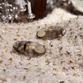 Detalle de pinzas de acetato con logotipos dorados grabados sobre tejido de punto crema - Patrón de mármol gris / Clip de Pico de Pato Gris - Paquete Individual