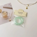 Détail de deux élastiques spirales vert menthe sur carte avec accessoires de mode - Vert Transparent
