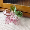 Detail of pink and green gradient plumeria hair claw clip with a clear resin finish - Green Red Transparent