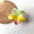 Detailed close-up of a plumeria claw clip with yellow and green gradient resin petals - Red Yellow Green Pearlescent