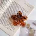 Dettaglio molletta per capelli a fiore ambra appoggiata su un libro aperto alla luce - Forma di Fiore (24-09-02A) / Stile Leopardato Rosso Vino