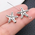 Macro-opname van twee zilveren zeester hangers voor sieraden met naald detail - Zeester Rechte Tussenkraal Stijl (24713) / Antiek Zilver