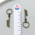 Macro shot of two vintage bronze key charms with 'DREAM' cutout and a measuring scale - Dream Letter Key Style (4117) / 1.7cmx5.1cm