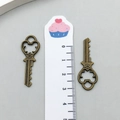 Set of two vintage bronze heart-shaped alloy key pendants with aged finish 3.2cm - Peach Heart Key Style (931) / 1.33cmx3.77cm