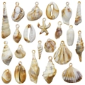 Mix of ocean-themed acrylic sea shell pendants with amber marble texture for DIY jewelry - Mixed 44Pcs Marine Conch Shell Set