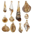 Set di ciondoli a conchiglia in acrilico dorato con forme naturali per creazione gioielli fai da te - Set Conchiglie Bicolore (SN545)
