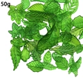 Green translucent acrylic leaf beads for DIY jewelry making in 50g packs with leaf vein details - 50g Weight / Random Mixed Green Acrylic Leaf (SN1347)