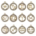 Set of 12 gold alloy zodiac pendants with white rhinestones and hollowed constellation symbols - Assorted KC Gold 12 Zodiac Set