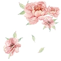 Dettaglio macro di adesivi murali peonia rosa acquerello con trame d'arte floreale - 40x60cm / Peonia Acquerello (FX64088)