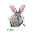 3D realistische grijze konijn muursticker uit een gescheurd papiergat voor DIY decor - Grijs konijn (MG13)