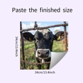 Detail of self-adhesive 34cm cow mural sticker showing texture and peel-back design - 34*34CM/HY-F470