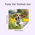 Dettaglio macro dell'adesivo murale cane beagle che mostra dimensioni 34cm e texture - Cane Beagle che Corre (HY-F478) / 34*34cm