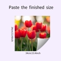 Detail der selbstklebenden Tulpen-Wandtattoos mit Anzeige der fertigen 34cm Größe - Rote Tulpe Stil (HY-F476) / 34cmx34cm