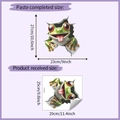Detailed size guide for 3D frog wall sticker showing layout and finished dimensions - 25*29CM/HY-M272
