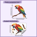 Detail of colorful parrot wall sticker with dimensions and original layout size - 30x40cm / Colorful Parrot Style (HY-F389)
