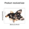 Pegatina de pared 3D con cachorro y dimensiones del producto de 30cm por 21cm - 21cm x 29cm (HY-F173)