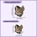 Maatspecificaties voor 3D kattensticker met muureffect toont plakformaat en velafmeting - 25*29cm (HY-M268)
