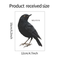 Realistische vogel raamsticker MG-F019 afmetingen 16cm x 12cm op witte achtergrond - 12x16cm / MG-F019 UV Statisch